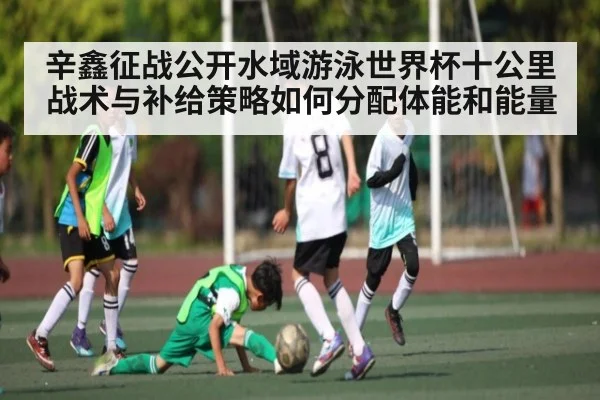 辛鑫征战公开水域游泳世界杯十公里战术与补给策略如何分配体能和能量
